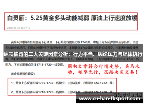 魏震被罚的三大关键因素分析：行为不当、舆论压力与纪律执行