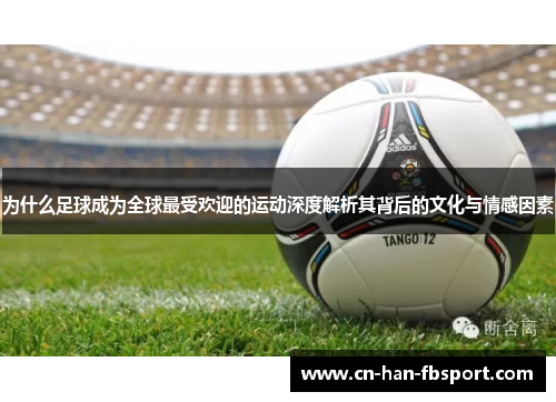 为什么足球成为全球最受欢迎的运动深度解析其背后的文化与情感因素 为什么足球成为全球最受欢迎的运动深度解析其背后的文化与情感因素