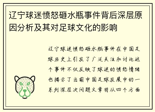 辽宁球迷愤怒砸水瓶事件背后深层原因分析及其对足球文化的影响